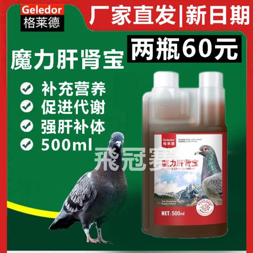 【魔力肝肾宝】500ml，净化血液、清肝明目、滋养肝肾（格莱德） 商品图0