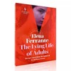 成年人的谎言生活 英文原版 The Lying Life of Adults Elena Ferrante 埃莱娜 费兰特 那不勒斯四部曲作者新书小说 平装 商品缩略图4