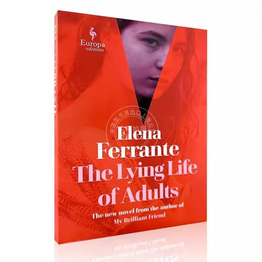 成年人的谎言生活 英文原版 The Lying Life of Adults Elena Ferrante 埃莱娜 费兰特 那不勒斯四部曲作者新书小说 平装 商品图4