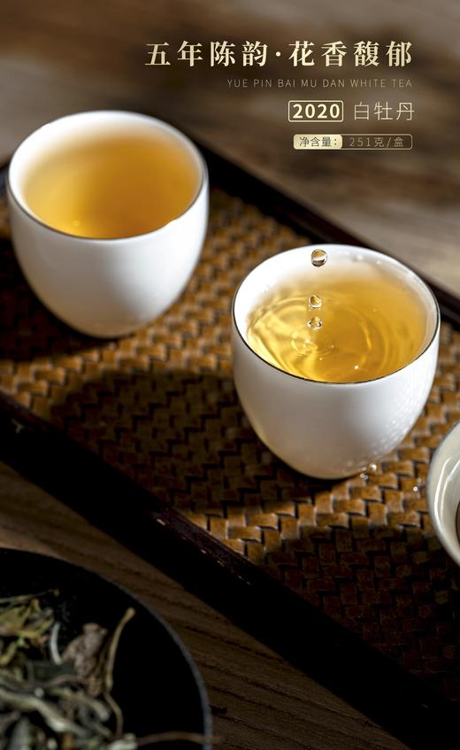 【福鼎白茶 花香馥郁】岩明悦品 2020年白牡丹 251g/盒 礼盒装（送礼佳品） 商品图6
