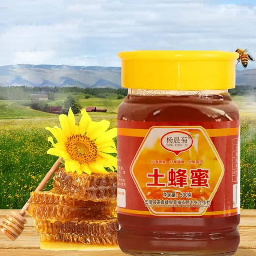 农家蜂蜜   土蜂蜜   洋槐蜜   山花蜜 商品图1
