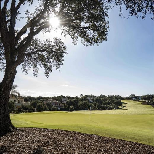 圣罗克高尔夫俱乐部（老球场）San Roque Golf Club（The old course） | 西班牙高尔夫球场俱乐部 | 欧洲 | Spain 商品图4