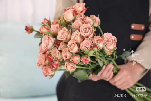 多头卡布奇诺5支 商品图0