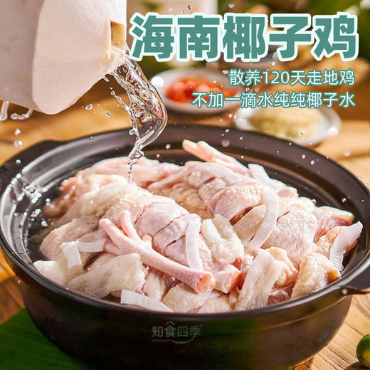 喜辉海南椰子鸡套餐 散养跑地鸡 肉质鲜嫩 新鲜急冻只只排酸 配料正 商品图0