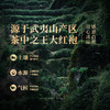 岩语 群山大红袍礼盒装 武夷山岩茶一级茶叶正宗中火乌龙茶送礼192g 商品缩略图4