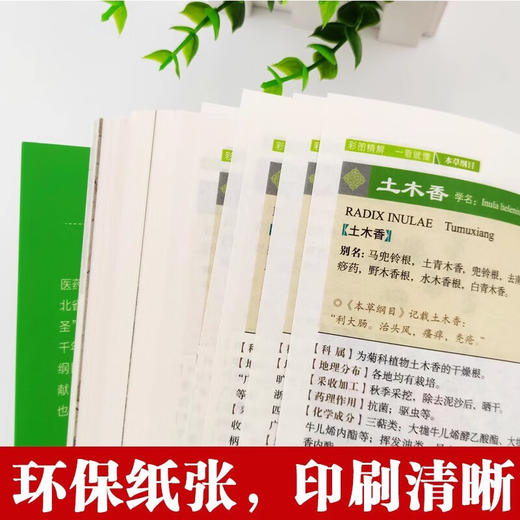 彩图精解一看就懂:本草纲目 商品图2