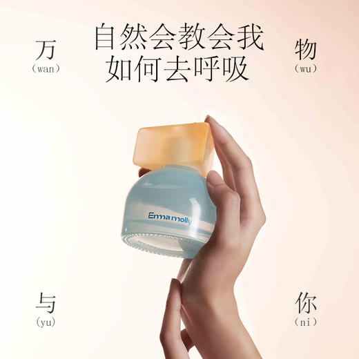 艾玛莫莉双重魅力无火香薰 商品图3