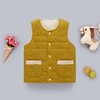 2024秋冬款儿童·珊瑚绒马夹加厚保暖毛绒男童女童棉背心 商品缩略图6