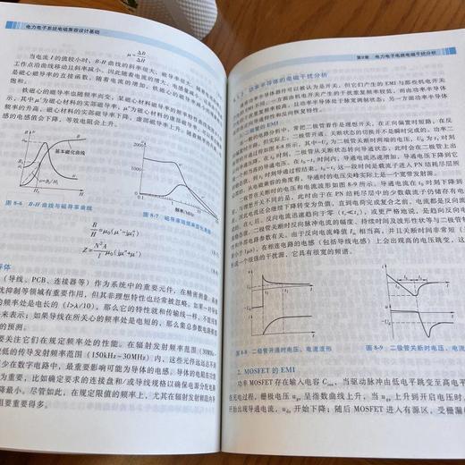 官网 电力电子系统电磁兼容设计基础 陈恒林 钱照明 现代电磁干扰源干扰耦合途径电磁干扰抑制基本原理 电磁兼容设计测量方法书籍 商品图4