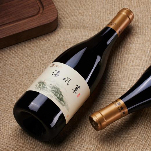龙亭珍藏海风莱小芒森干白葡萄酒 750ml 商品图3