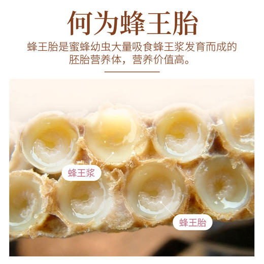【自营】金王蜂王胎冻干粉片 30克（0.5克*60片） 商品图1