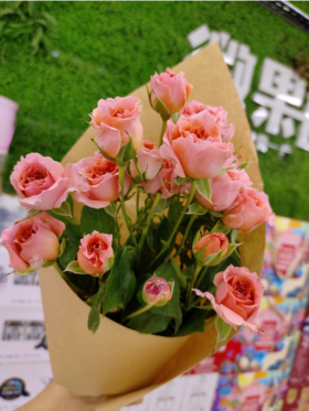 粉色啦啦队多头泡泡5枝