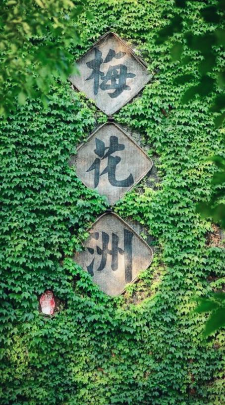 周末不涨价，2间夜￥499限量抢！梅花洲景区不限次进出，另有采摘可自选！ 商品图1