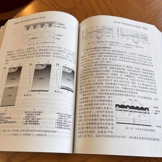 官网 脉冲功率器件及其应用 第2版 梁琳 余岳辉 脉冲功率开关电流控制型器件结构工作原理特性参数封装技术 脉冲功率技术书籍 商品图3