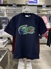 法国产 Lacoste/法国鳄鱼 男士夏季透气宽松版型短袖T恤TH1410 商品缩略图3