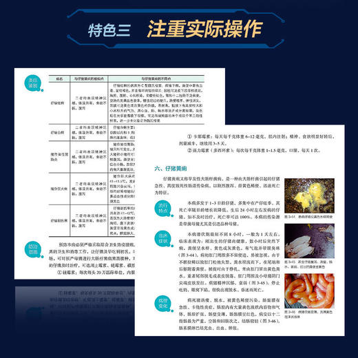 官方 猪病诊治实操图解 席克奇 猪病诊断防控书 猪病毒性细菌性传染病猪寄生虫病营养代谢病中毒性疾病鉴别诊断与防治书籍 商品图4