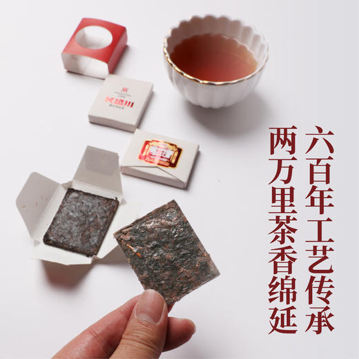 长盛川湖北青砖茶·百年传承 商品图3