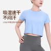 BWELL圆领宽松短袖BWY7669 商品缩略图4