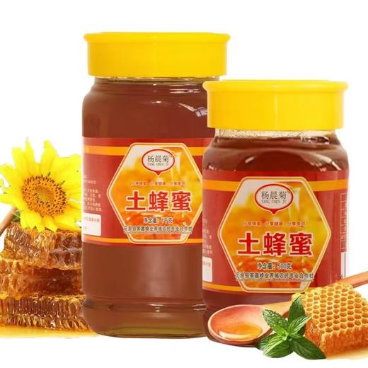农家蜂蜜   土蜂蜜   洋槐蜜   山花蜜 商品图2