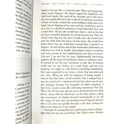 预售 我的天才女友 新名字的故事 那不勒斯四部曲2 埃莱娜·费兰特 Elena Ferrante 英文原版 My Brilliant Friend 商品图2