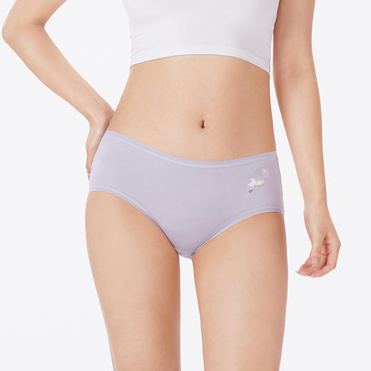 都市丽人内裤纤柔绵平角裤莫代尔茶纤女士内裤LKT5M9 商品图1