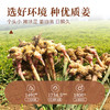 【粮药LY】小黄姜粉 纯食用冲饮超细去皮干姜粉泡水细腻云南原产新鲜现磨小黄姜粉送杯子勺子红糖200g/罐 商品缩略图2