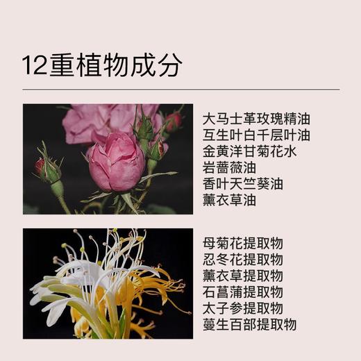 羽心堂 茶树洋甘菊呵护洗液 240ml/盒 商品图3