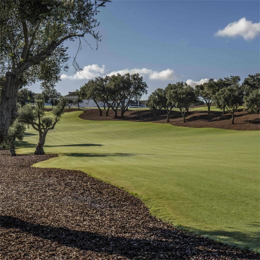 圣罗克高尔夫俱乐部（老球场）San Roque Golf Club（The old course） | 西班牙高尔夫球场俱乐部 | 欧洲 | Spain 商品图2
