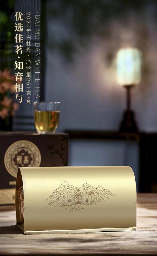 【福鼎白茶 花香馥郁】岩明悦品 2020年白牡丹 251g/盒 礼盒装（送礼佳品） 商品图2