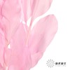 永生花材 | 桔叶亮粉 商品缩略图1