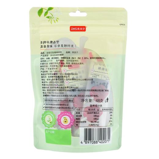 乖孩子金银花梨膏棒棒糖48g/袋 商品图1