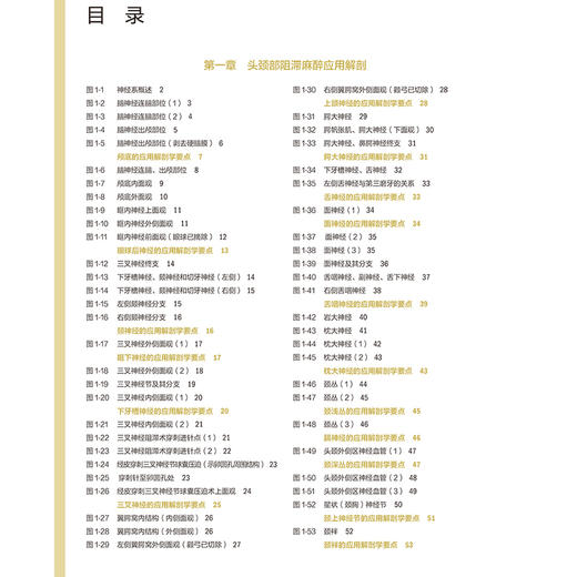 麻醉解剖实物图谱第2版 头颈部阻滞麻醉应用解剖 上肢神经阻滞麻醉解剖 肋间隙内结构 主编 纪荣明 人民卫生出版社9787117365307 商品图3