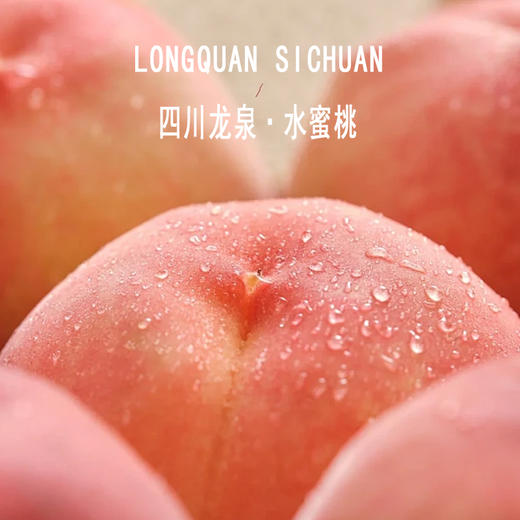 【特级大果】四川龙泉驿水蜜桃 |水果 商品图0
