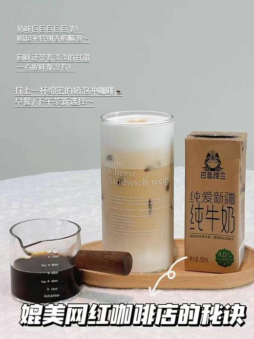 巴音楼兰 纯爱新疆纯牛奶 100％生牛乳 4.0g/100ml优质蛋白 商品图2