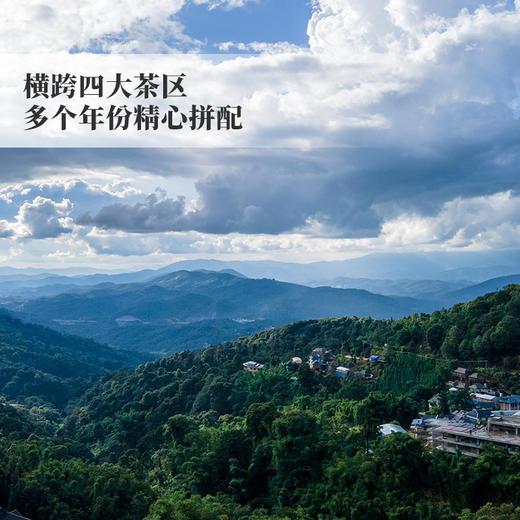 【5月5日13点-14点】【尾货降价拍】【10饼装】【黑神话悟空生茶】72座名山精心拼配而成，72种不同风格完美融合 普洱茶生茶纪念饼357克/饼 商品图6