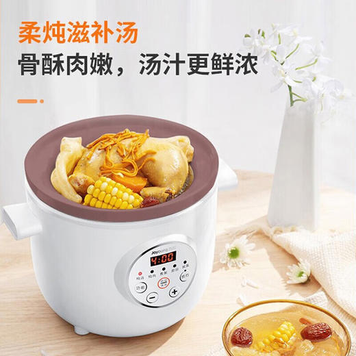九阳电炖锅DGD1505AM 商品图1