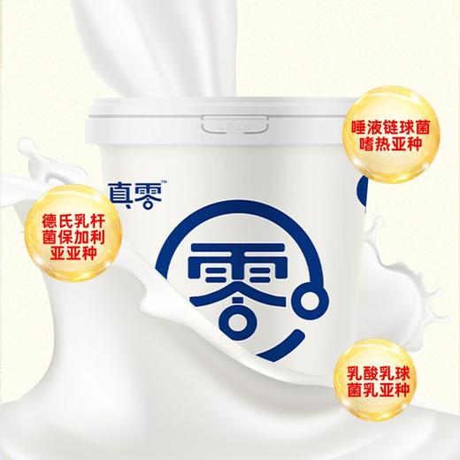 【买一送一 2桶/4桶】真零酸奶1KG 零添加蔗糖代糖0乳糖纯酸奶 A-2947 商品图4