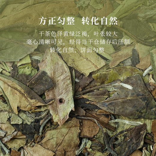 有龙 福鼎白茶寿眉茶叶2020四年陈老白茶生肖茶礼盒装 商品图1