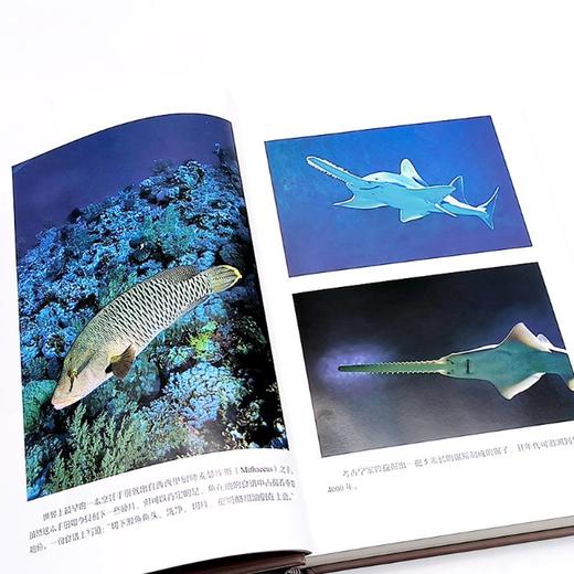 鱼宴 人类生存进化史 商品图2