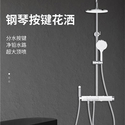 海尔淋浴花洒套 四功能钢琴按键花洒 超大顶喷 淋浴器 超大置物主体+净铅水路+增压喷枪 5429枪灰色/5428白色 商品图1