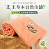 「数款可选！新款艾草驱蚊夏被」夏季空调被 可水洗机洗单双人夏凉被礼品床上用品 商品缩略图3