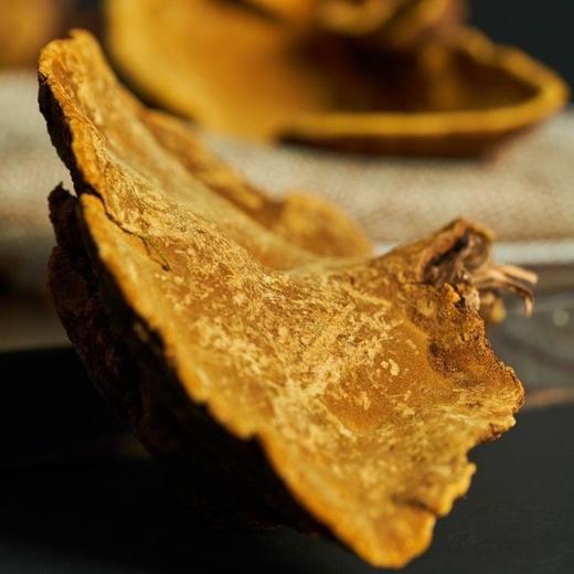 央视力推荐【桑黄超微粉】，结节的克星！野生桑树桑黄生长在西藏高海拔原始森林的桑树上，灵芝中的极品，被誉为桑树上的黄金。 商品图4