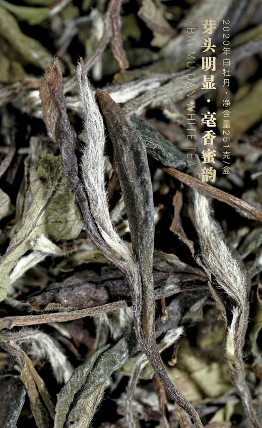 【福鼎白茶 花香馥郁】岩明悦品 2020年白牡丹 251g/盒 礼盒装（送礼佳品） 商品图4