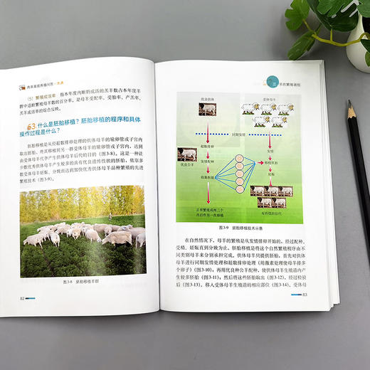 肉羊高效养殖问答一本通（视频图文学养殖） 商品图3