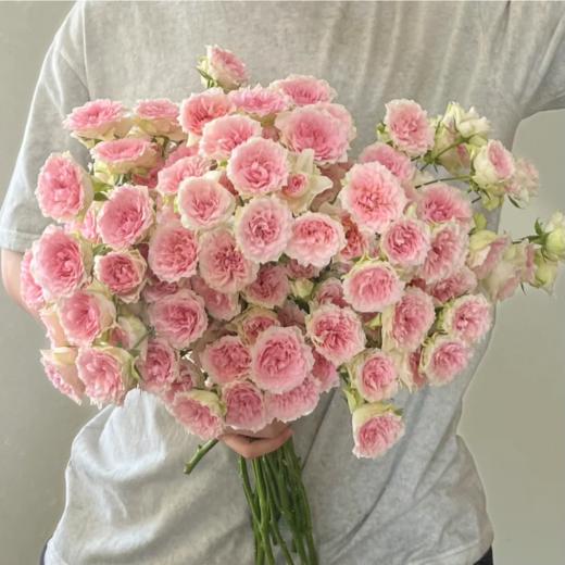 多头情迷罗拉玫瑰丨AB级花材 10支【稀有】 商品图1