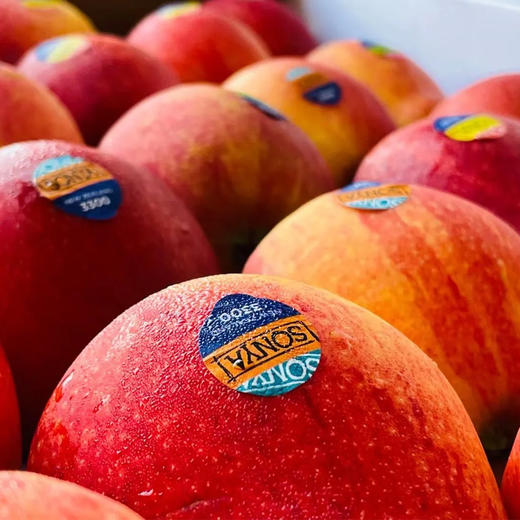 新西兰索尼娅苹果 |进口水果 商品图0