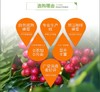 【云南省怒江州泸水市】百华谷怒江咖啡蜂蜜66g/瓶 商品缩略图2