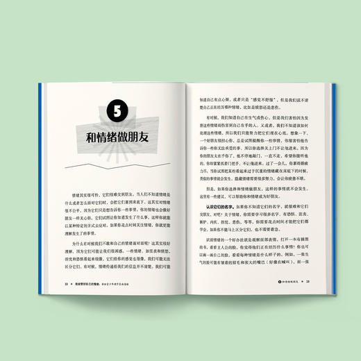 青少年调节负面情绪指南-美国心理学会情绪管理自助读物（共2册）：《我能管好自己的情绪》《情绪低落，怎么办？》（共2册） 商品图2