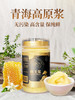 【自营】金王蜂王浆 青海春浆新浆北浆500克 1瓶装 500g 商品缩略图0