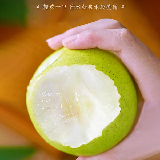 四川千脆蜜梨 | 水果 （约5斤装礼盒） 单份约450g（2只） 商品图0